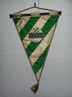 /album/wien-rapid1/rapid-wien-49-jpg1/